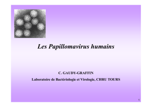 Les Papillomavirus humains C. GAUDY-GRAFFIN Laboratoire de Bactériologie et Virologie, CHRU TOURS 1