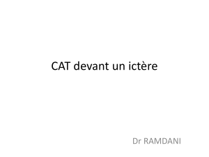 CAT devant un ictère Dr RAMDANI