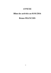 ANNEXE  Bilan des activités au 01/01/2016 Bruno FRANCOIS