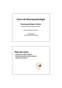 Cours de Neuropsychologie Neuropsychologie Lobaire