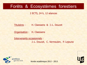 Forêts  &amp;  Ecosystèmes  forestiers
