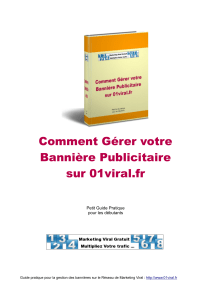 Comment Gérer votre Bannière Publicitaire sur 01viral.fr Petit Guide Pratique