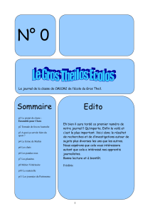 N° 0 Sommaire Edito