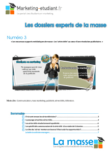 Les dossiers experts de la masse Numéro 3 Sommaire