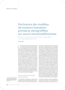 L Pertinence des modèles de tumeurs humaines primaires xénogreffées