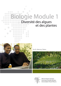 Biologie Module 1 Diversité des algues et des plantes Par Dr. Memory Tekere
