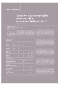 Équation neuromusculaire : neuropathie + leucoencéphalopathie = ? IMAGE COMMENTÉE