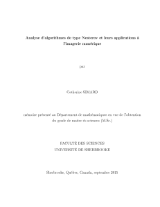 Analyse d'algorithmes de type Nesterov et leurs applications à l'imagerie numérique par