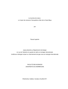 Lapointe_Pascal_MEI_2011.pdf (456.0Kb)