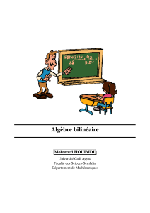 algebre bilineaire