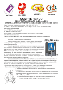 COMPTE RENDU CHSCT EXTRAORDINAIRE du 29 avril 2013 tél:310701