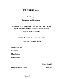 MR83745.pdf (4.012Mb)