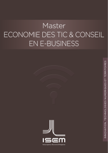 econoMie des tic &amp; conseil en e-Business Master