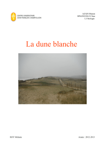 La dune blanche