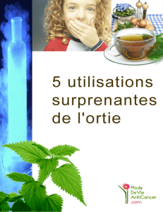 orties 5utilisationssurprenantesdelortie