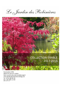catalogue erables japonais 2013 2015