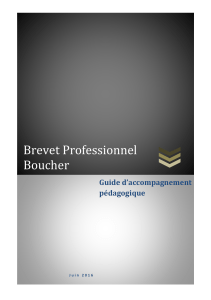 Brevet Professionnel Boucher Guide d’accompagnement