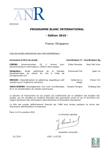PROGRAMME BLANC INTERNATIONAL  - Edition 2010 - France /Singapour