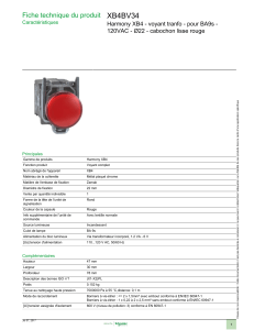 XB4BV34 Fiche technique du produit 120VAC - Ø22 - cabochon lisse rouge
