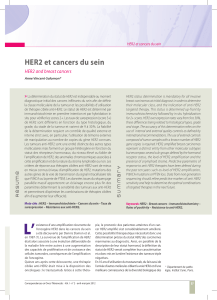 HER2 et cancers du sein HER2 and breast cancers  »