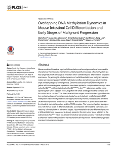 Overlapping DNA Methylation Dynamics in Mouse Intestinal Cell Differentiation and