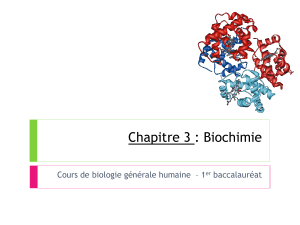 Chapitre 3 : Biochimie baccalauréat er
