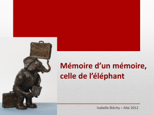 Mémoire d’un mémoire, celle de l’éléphant Isabelle Biéchy – Mai 2012