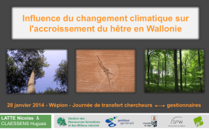Influence du changement climatique sur l'accroissement du hêtre en Wallonie LATTE Nicolas