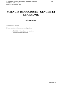 L2 Pharmacie – Sciences Biologiques : Génome et Epigénome N°1 18/09/2013 – Pr Gauduchon Groupe 7 – Alexandre &amp; Jason