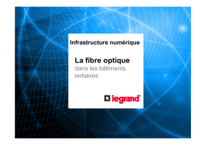 La fibre optique dans les bâtiments tertiaires Infrastructure numérique