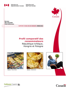 Profil comparatif des consommateurs République tchèque, Hongrie et Pologne