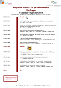 Urologie Vendredi 10 janvier 2014 Programme Journée D.E.S. par visioconférence