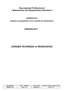 E2 Dossier Ressources Bac Pro MEI Métropole juin 2017. Fichier source.