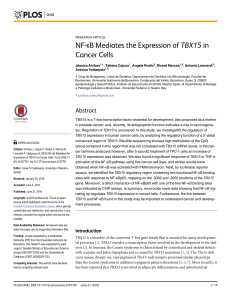 NF-κB Mediates the Expression of TBX15 in Cancer Cells