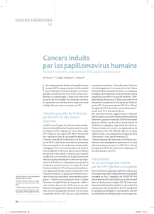 I Cancers induits par les papillomavirus humains DOssIER THÉMATIQUE