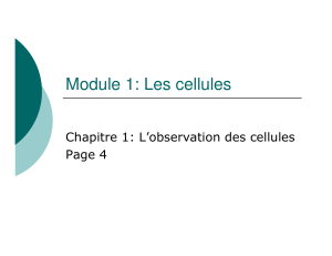 Module 1: Les cellules Chapitre 1: L’observation des cellules Page 4