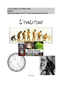 L’  EVOLUTION Lycée-Collège de la Planta, Sion