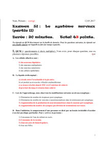Examen  5I :  Le  syst&egrave;me  nerveux points.