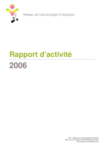 2006  Rapport d’activité