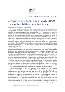 La transition énergétique : 2020-2050, Déclaration du groupe des associations