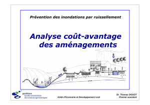 Analyse coût-avantage des aménagements Prévention des inondations par ruissellement Dr. Thomas DOGOT