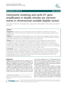 Centrosome clustering and cyclin D1 gene