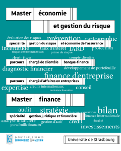 finance d’entreprise Master économie et gestion du risque