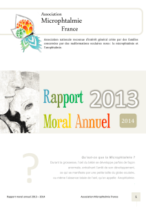 rapport moral 2013 association microphtalmie france