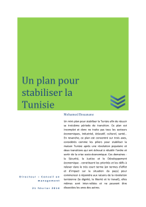 Un plan pour stabiliser la Tunisie Mohamed Bouanane