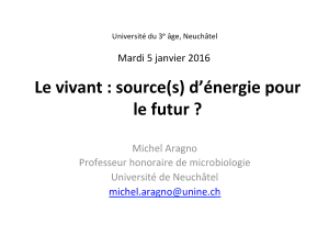 Le vivant: source(s) d'énergie pour le futur?