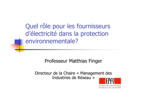 Quel rôle pour les fournisseurs d’électricité dans la protection environnementale? Professeur Matthias Finger