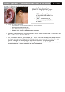 Exercices sur le gène responsable de la forme du lobe de l oreille
