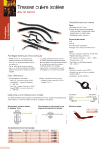 Tresses cuivre isolées Jeu de barres es Caractéristiques techniques