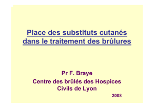 Place des substituts cutanés dans le traitement des brûlures Pr F. Braye